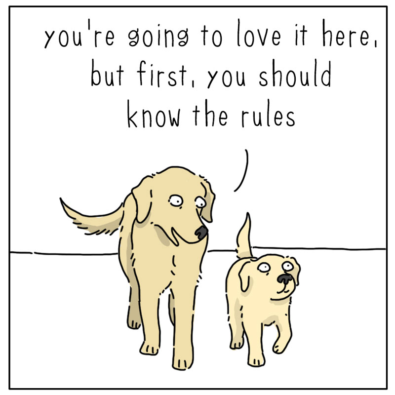 https://cdn.tinyview.com/they-can-talk/2026/07/15/rules/dog_rules1.jpg