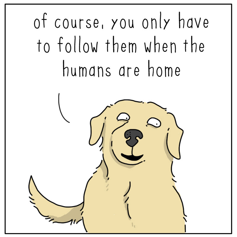 https://cdn.tinyview.com/they-can-talk/2026/07/15/rules/dog_rules2.jpg