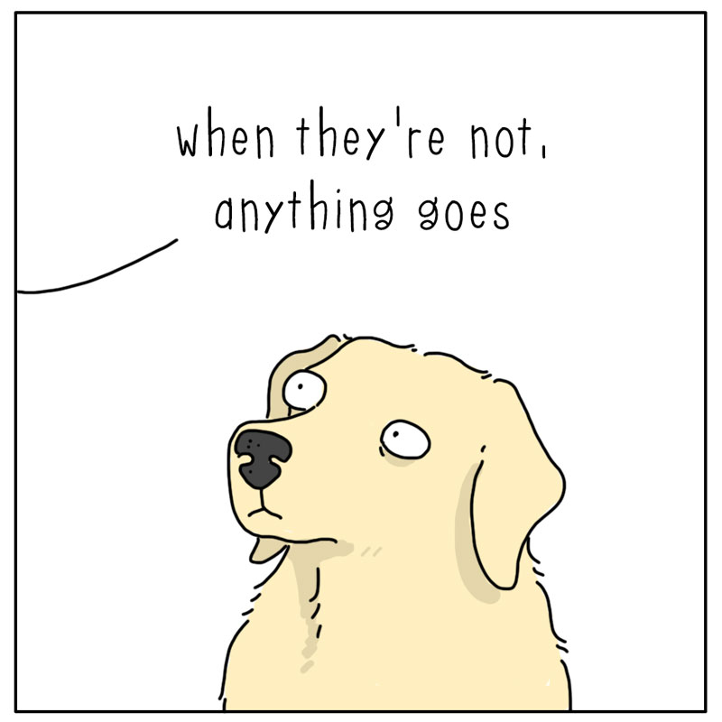 https://cdn.tinyview.com/they-can-talk/2026/07/15/rules/dog_rules3.jpg
