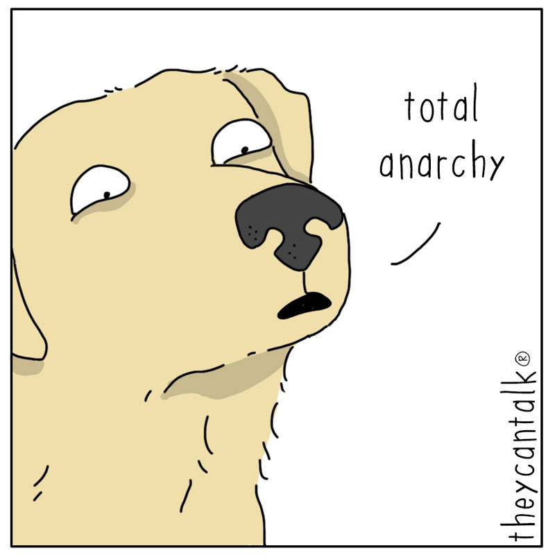 https://cdn.tinyview.com/they-can-talk/2026/07/15/rules/dog_rules4.jpg