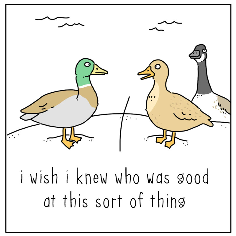 https://cdn.tinyview.com/they-can-talk/2026/07/23/conflict/goose_conflict3.jpg