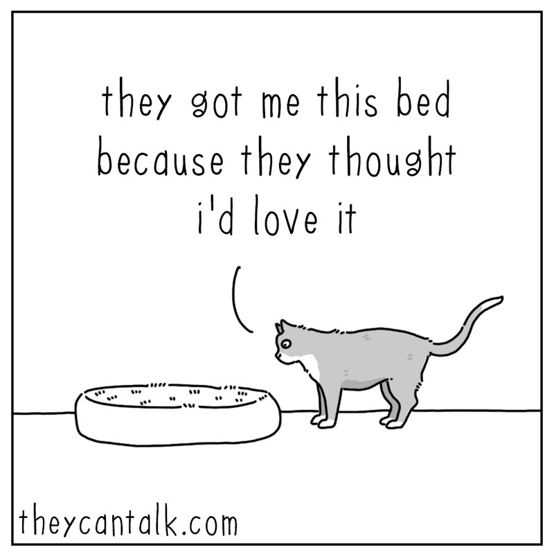 https://cdn.tinyview.com/they-can-talk/2026/07/23/know-me/cat_knowme1.jpg