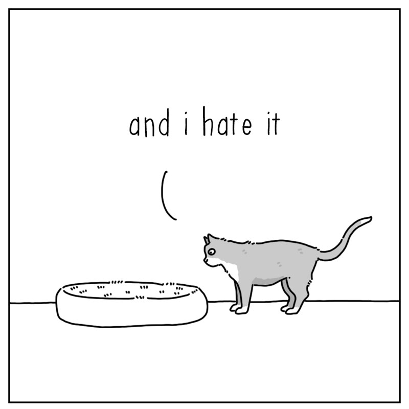 https://cdn.tinyview.com/they-can-talk/2026/07/23/know-me/cat_knowme2.jpg