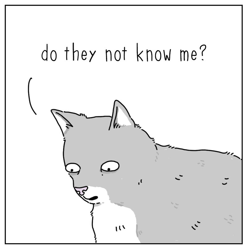 https://cdn.tinyview.com/they-can-talk/2026/07/23/know-me/cat_knowme3.jpg