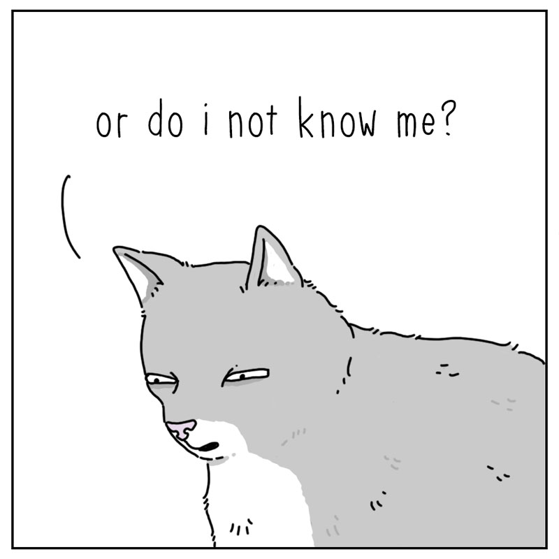 https://cdn.tinyview.com/they-can-talk/2026/07/23/know-me/cat_knowme4.jpg