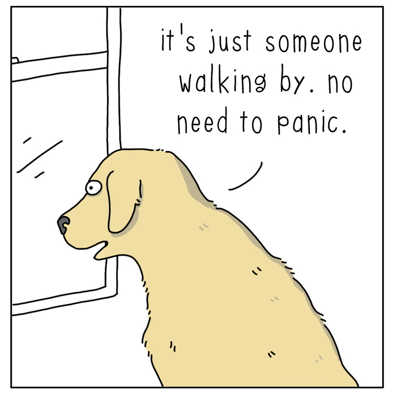 https://cdn.tinyview.com/they-can-talk/2026/07/29/stay-calm/dog_staycalm1.jpg