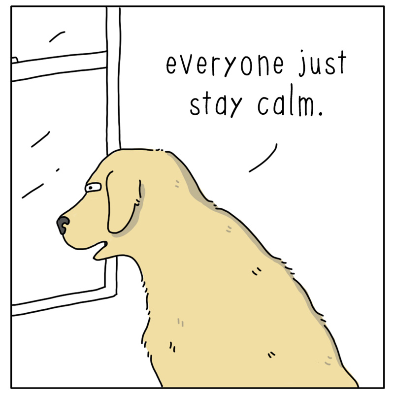 https://cdn.tinyview.com/they-can-talk/2026/07/29/stay-calm/dog_staycalm2.jpg