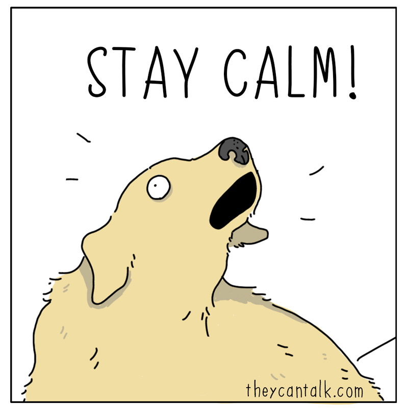 https://cdn.tinyview.com/they-can-talk/2026/07/29/stay-calm/dog_staycalm3.jpg