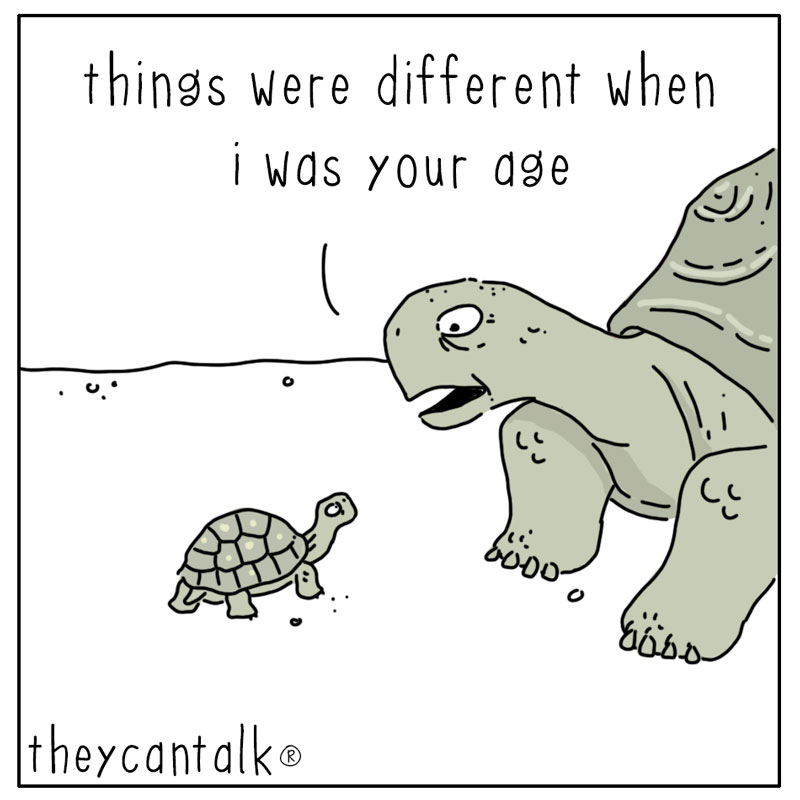https://cdn.tinyview.com/they-can-talk/2026/08/02/different/tortoise_myday1.jpg