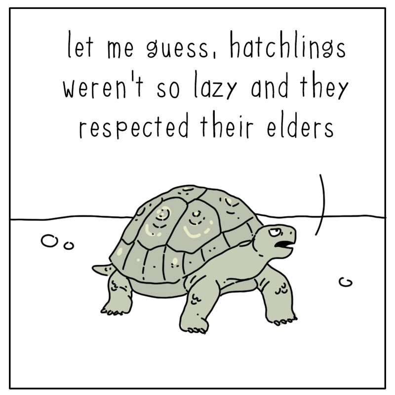 https://cdn.tinyview.com/they-can-talk/2026/08/02/different/tortoise_myday2.jpg