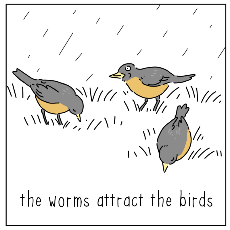 https://cdn.tinyview.com/they-can-talk/2026/08/08/attracts/cat_rain2.jpg