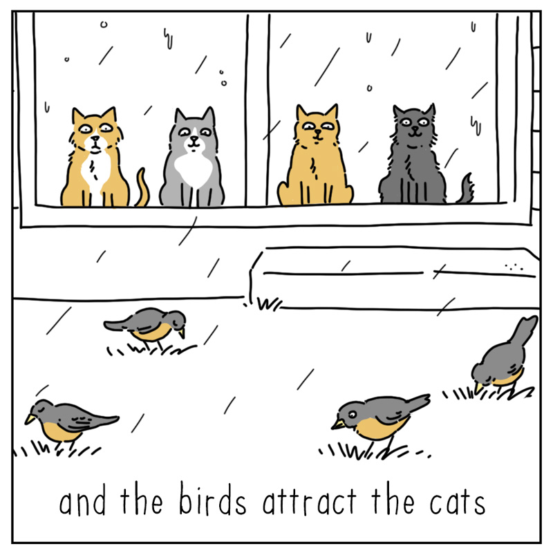 https://cdn.tinyview.com/they-can-talk/2026/08/08/attracts/cat_rain3.jpg