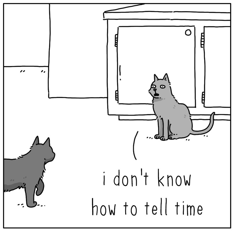 https://cdn.tinyview.com/they-can-talk/2026/08/13/time/cat_tellingtime1.jpg