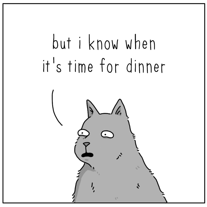 https://cdn.tinyview.com/they-can-talk/2026/08/13/time/cat_tellingtime2.jpg