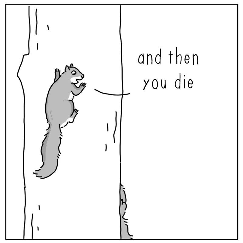 https://cdn.tinyview.com/they-can-talk/2026/08/15/ready/squirrel_paranoid3.jpg