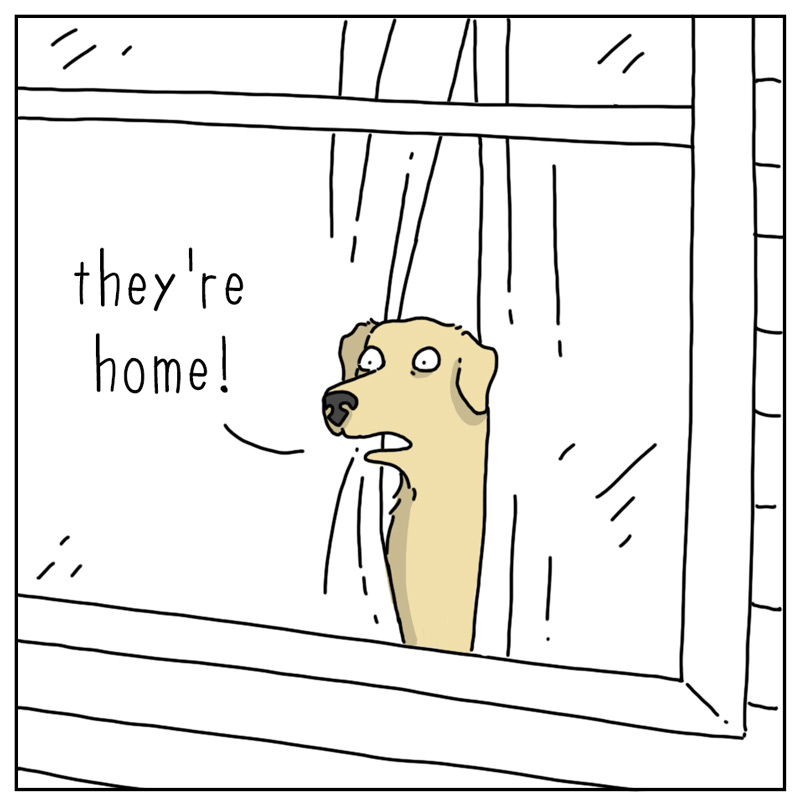 https://cdn.tinyview.com/they-can-talk/2026/08/19/couch/dog_couch1.jpg