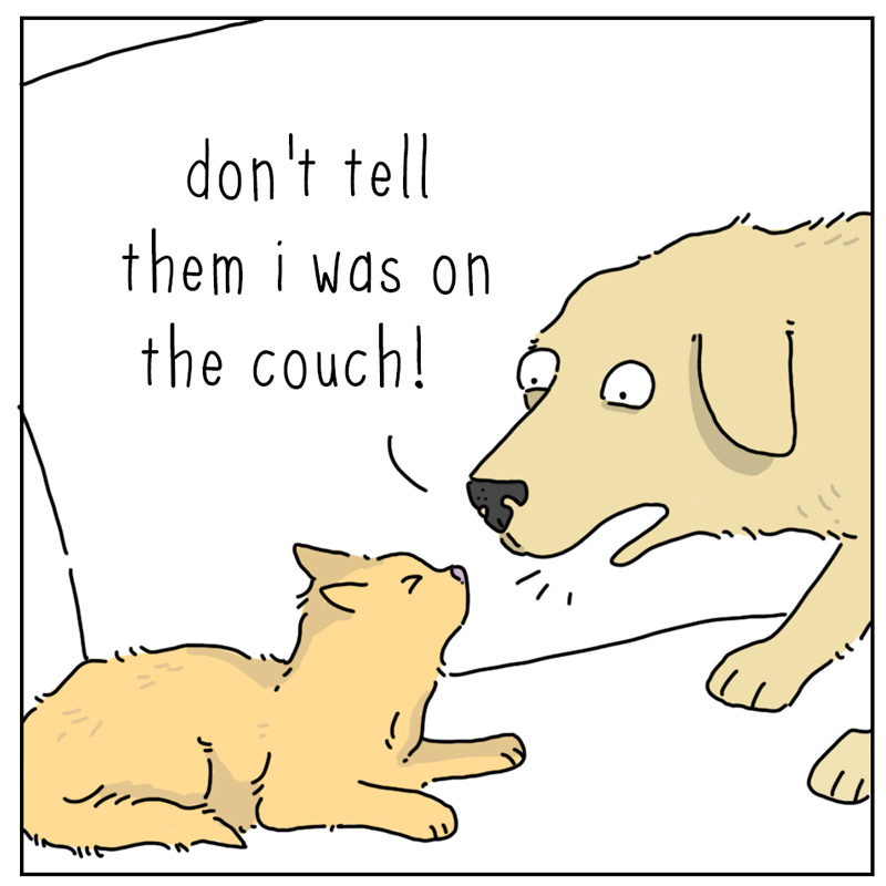 https://cdn.tinyview.com/they-can-talk/2026/08/19/couch/dog_couch2.jpg