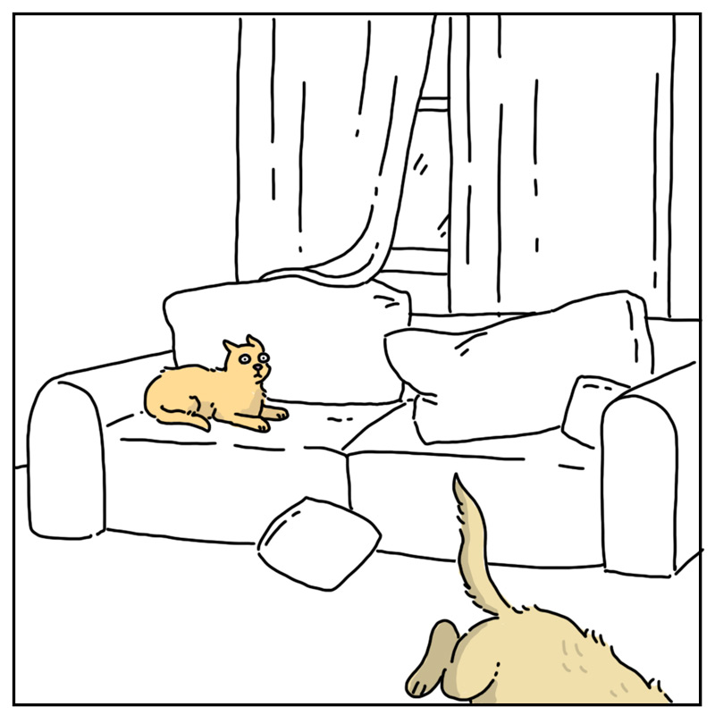 https://cdn.tinyview.com/they-can-talk/2026/08/19/couch/dog_couch3.jpg