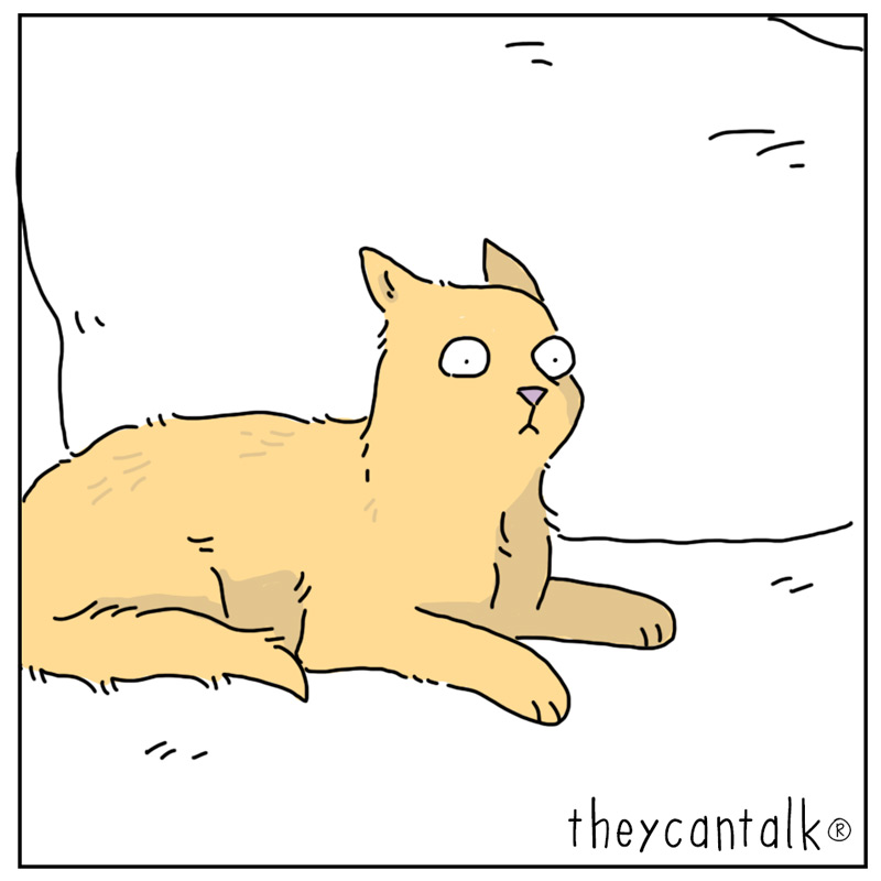 https://cdn.tinyview.com/they-can-talk/2026/08/19/couch/dog_couch4.jpg