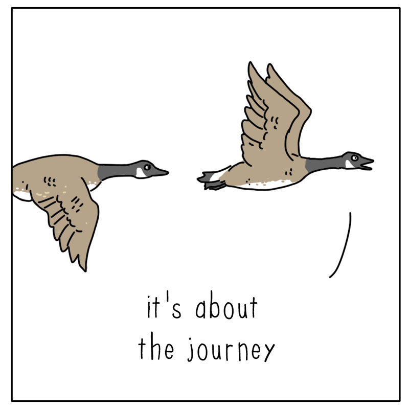 https://cdn.tinyview.com/they-can-talk/2026/08/23/tone/goose_howyousaidit2.jpg