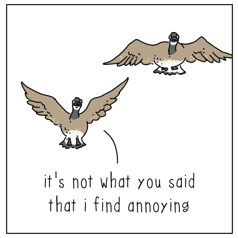 https://cdn.tinyview.com/they-can-talk/2026/08/23/tone/goose_howyousaidit3.jpg