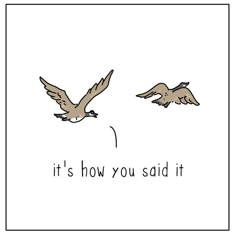 https://cdn.tinyview.com/they-can-talk/2026/08/23/tone/goose_howyousaidit4.jpg