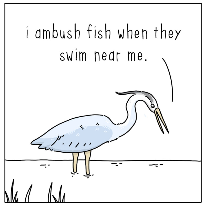 https://cdn.tinyview.com/they-can-talk/2026/08/27/ambush/heron_stupid1.jpg