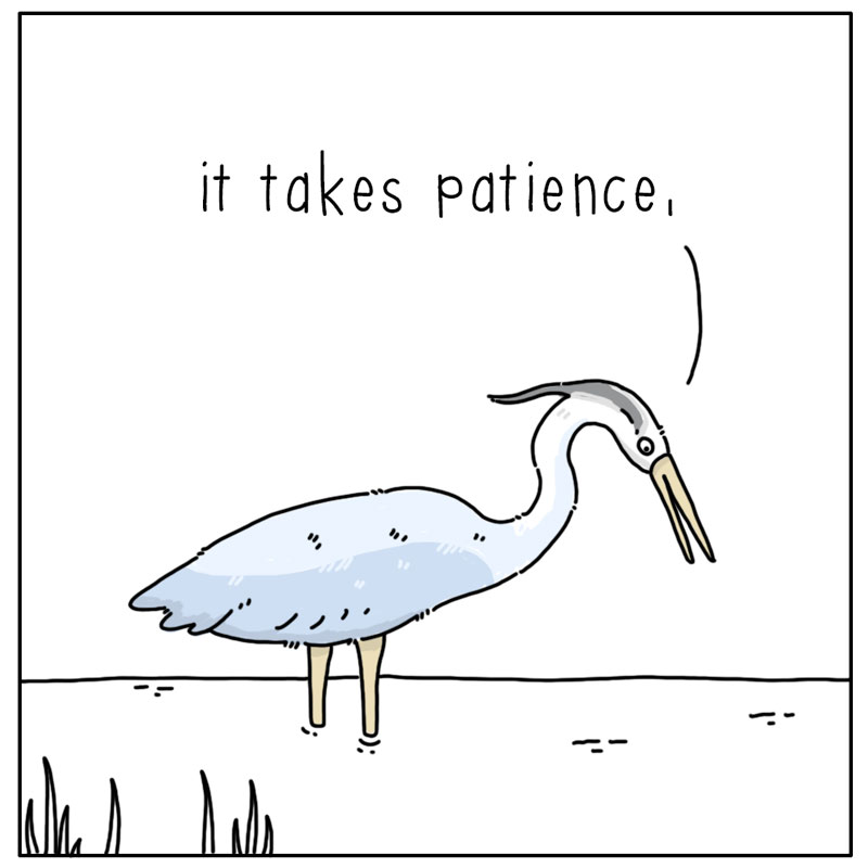 https://cdn.tinyview.com/they-can-talk/2026/08/27/ambush/heron_stupid2.jpg