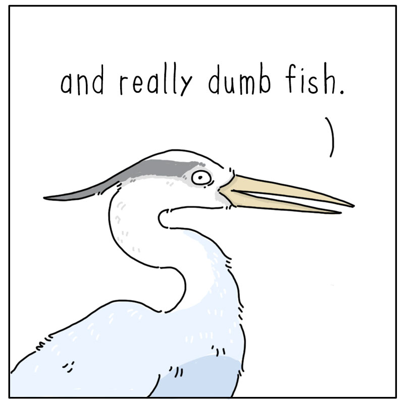 https://cdn.tinyview.com/they-can-talk/2026/08/27/ambush/heron_stupid4.jpg