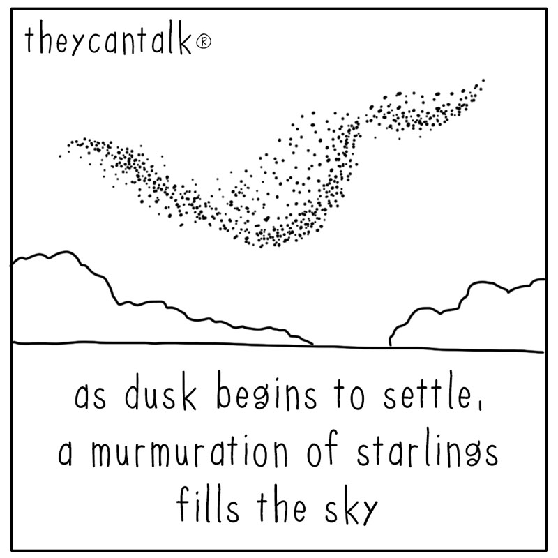 https://cdn.tinyview.com/they-can-talk/2026/08/29/murmuration/bird_murmuration1.jpg