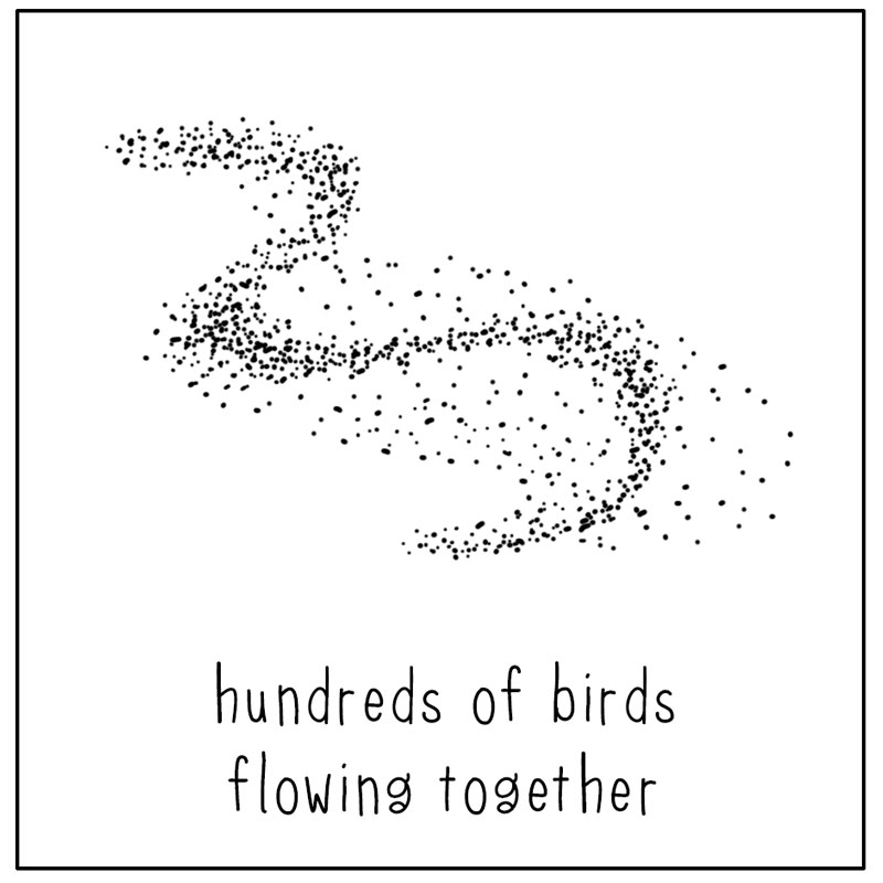 https://cdn.tinyview.com/they-can-talk/2026/08/29/murmuration/bird_murmuration2.jpg