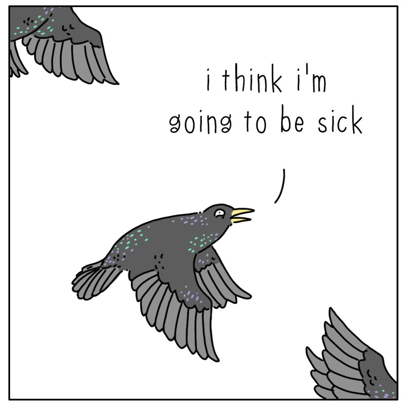 https://cdn.tinyview.com/they-can-talk/2026/08/29/murmuration/bird_murmuration4.jpg