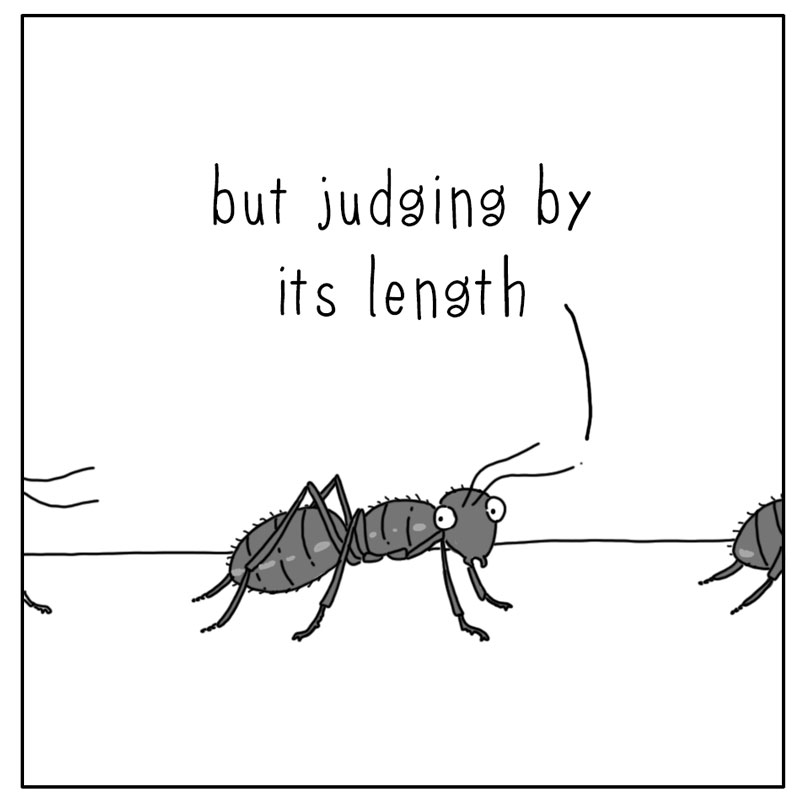 https://cdn.tinyview.com/they-can-talk/2026/09/03/line/ant_line3.jpg