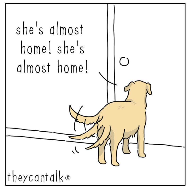 https://cdn.tinyview.com/they-can-talk/2026/09/06/chill/dog_chill1.jpg