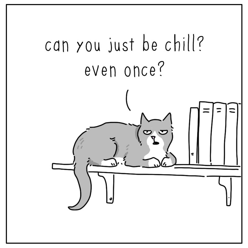 https://cdn.tinyview.com/they-can-talk/2026/09/06/chill/dog_chill2.jpg