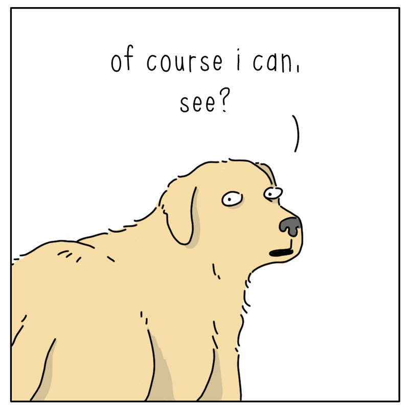 https://cdn.tinyview.com/they-can-talk/2026/09/06/chill/dog_chill3.jpg