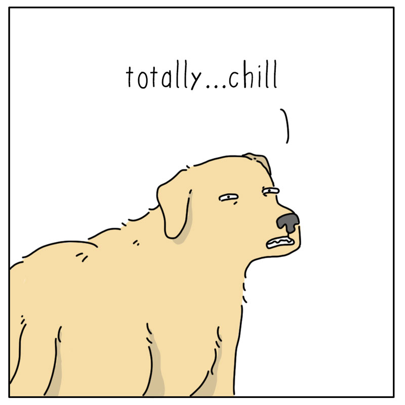 https://cdn.tinyview.com/they-can-talk/2026/09/06/chill/dog_chill4.jpg