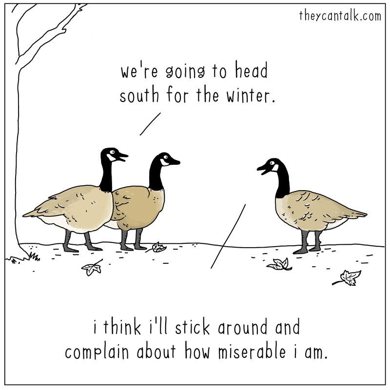 https://cdn.tinyview.com/they-can-talk/2026/09/10/migrate/migrate.jpg