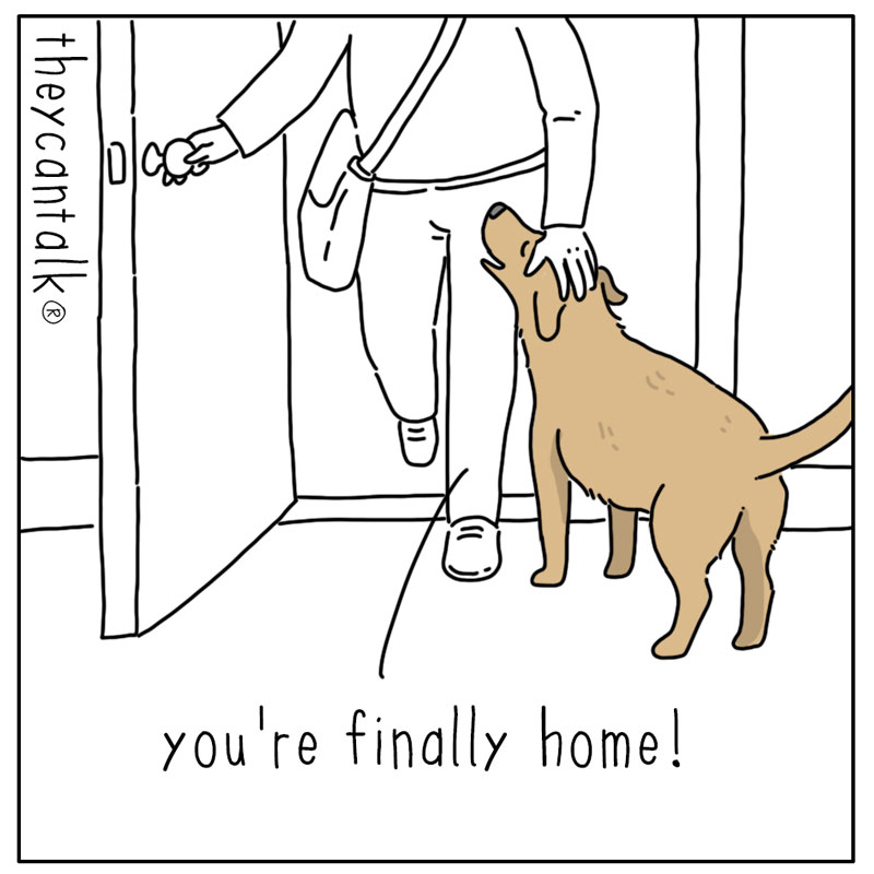 https://cdn.tinyview.com/they-can-talk/2026/09/13/my-day/dog_myday1.jpg