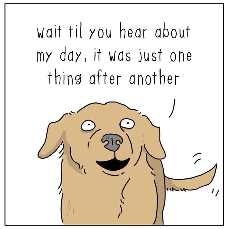 https://cdn.tinyview.com/they-can-talk/2026/09/13/my-day/dog_myday2.jpg
