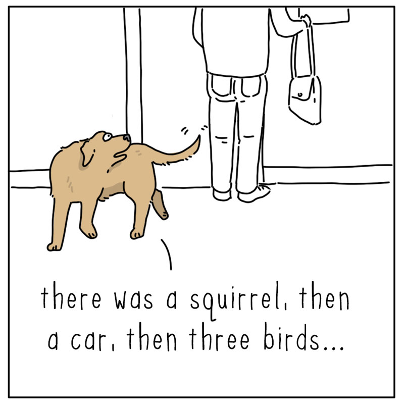 https://cdn.tinyview.com/they-can-talk/2026/09/13/my-day/dog_myday3.jpg
