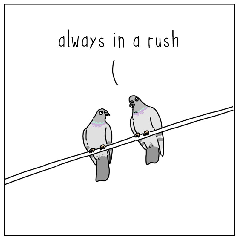 https://cdn.tinyview.com/they-can-talk/2026/09/17/humans/pigeon_humans2.jpg