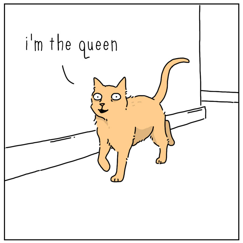 https://cdn.tinyview.com/they-can-talk/2026/09/20/queen/cat_queen1.jpg