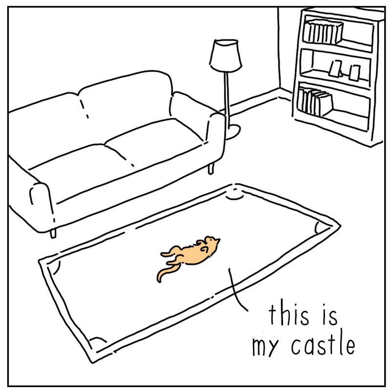 https://cdn.tinyview.com/they-can-talk/2026/09/20/queen/cat_queen2.jpg