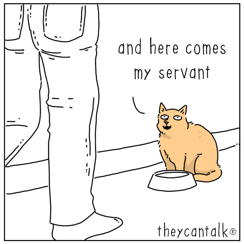 https://cdn.tinyview.com/they-can-talk/2026/09/20/queen/cat_queen4.jpg
