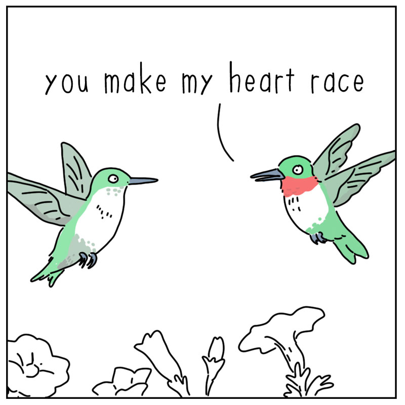 https://cdn.tinyview.com/they-can-talk/2026/09/24/heart/hummingbird_heart1.jpg