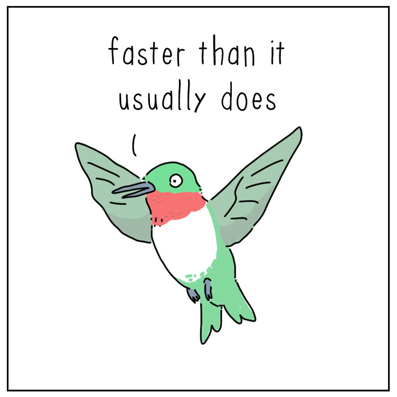 https://cdn.tinyview.com/they-can-talk/2026/09/24/heart/hummingbird_heart2.jpg