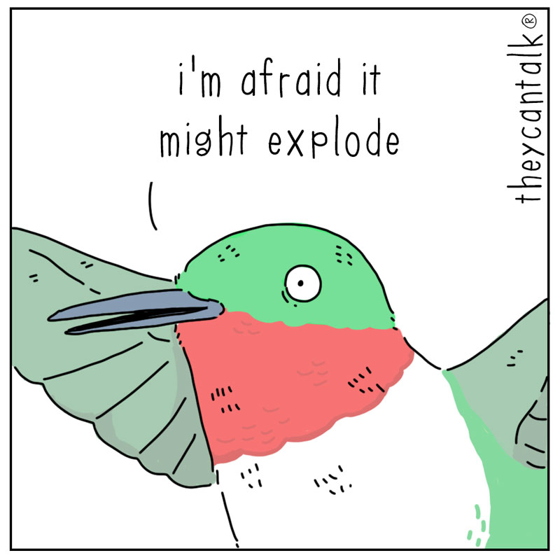 https://cdn.tinyview.com/they-can-talk/2026/09/24/heart/hummingbird_heart3.jpg