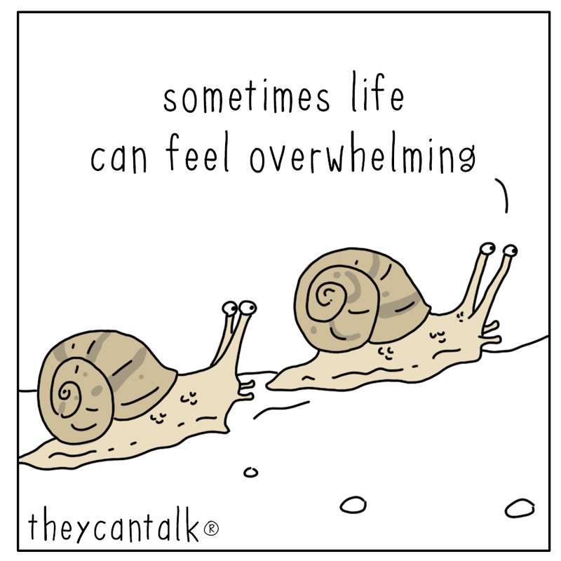 https://cdn.tinyview.com/they-can-talk/2026/09/29/advice/snail_overwhelming1.jpg