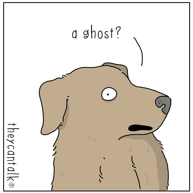 https://cdn.tinyview.com/they-can-talk/2026/10/15/ghost/dog_ghostmous3.jpg